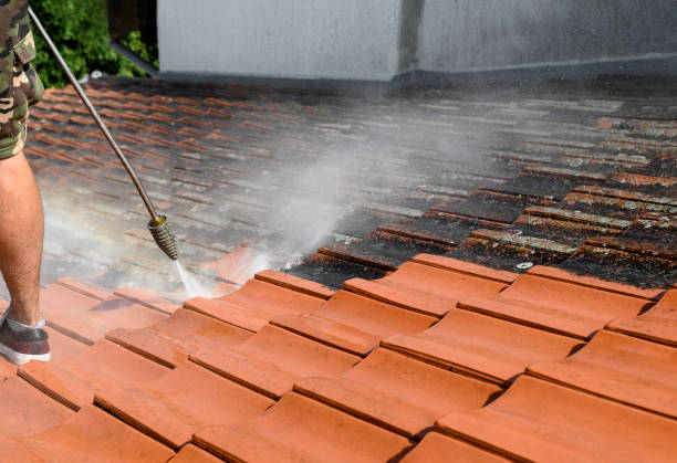 Best Residential Pressure Washing Services  in Hartsville, SC